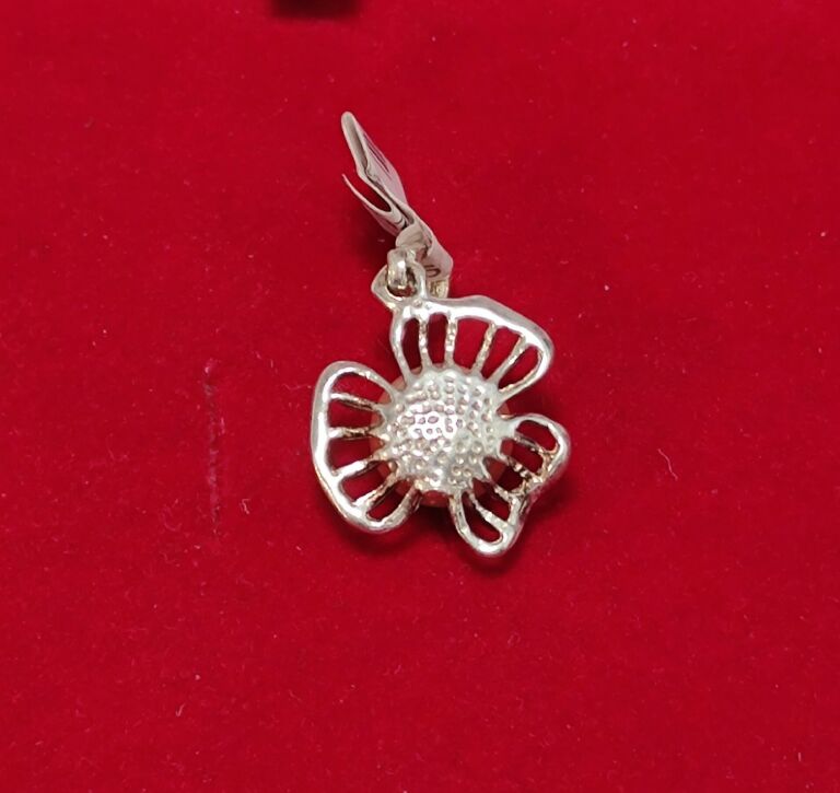 srebrna-zawieszka-368g-925-material-15835-4