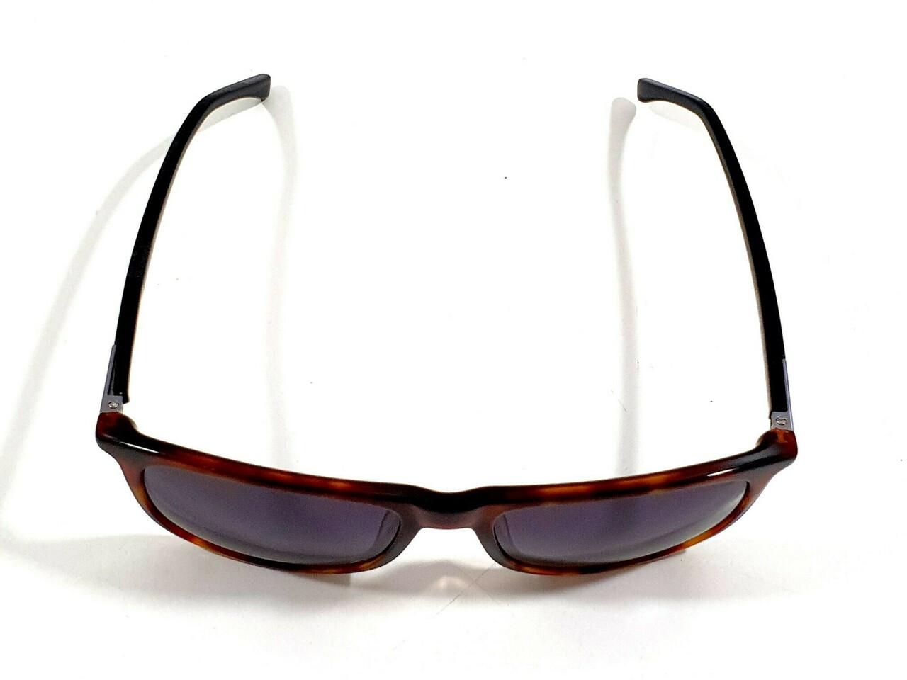 OKULARY CERRUTI CE8118 Gotowe okulary Loombard.pl