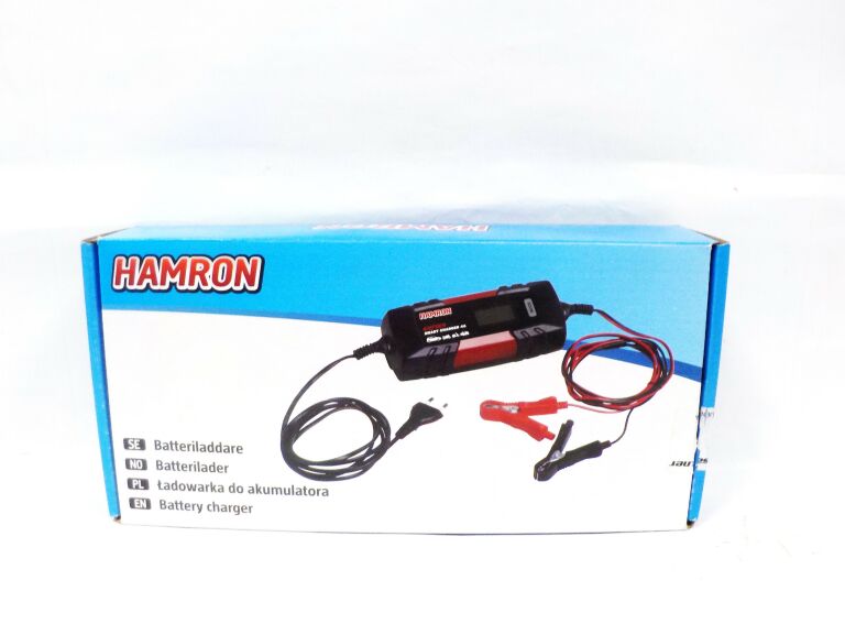 PROSTOWNIK HAMRON 6V/12V