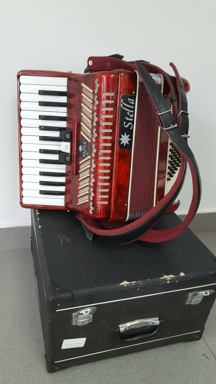 akordeon-weltmeister-stella-48-bass-w-walizce-stan-nie-wymaga-renowacji