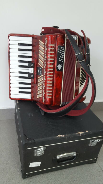 akordeon-weltmeister-stella-48-bass-w-walizce-stan-nie-wymaga-renowacji