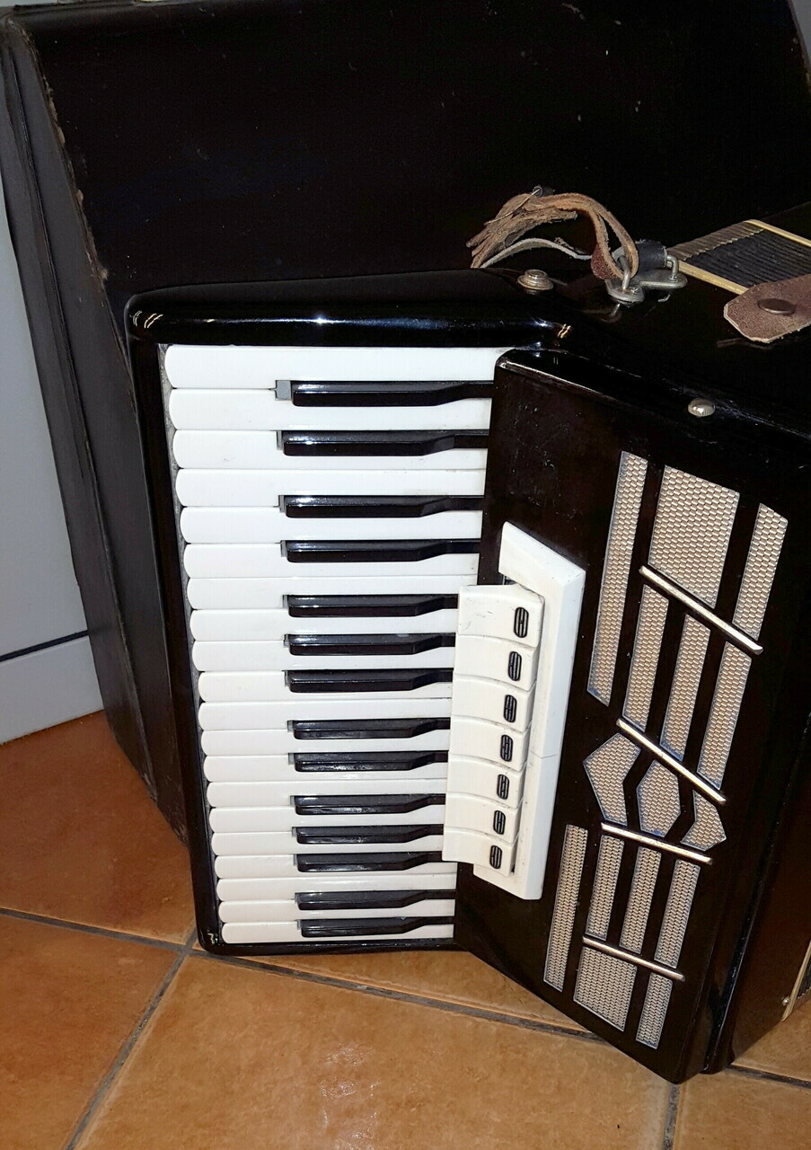 akordeon-flis-czarny-futeral-product-id