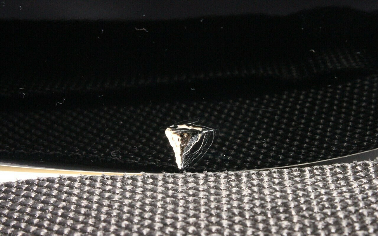 sd