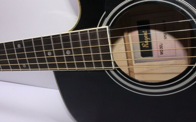 GITARA T.BURTON RAGENT SPECIAL 100 + CASE VELTON