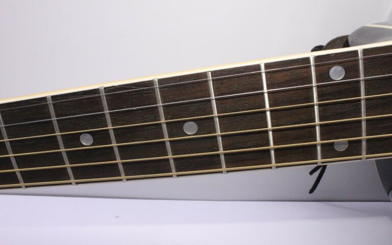 GITARA T.BURTON RAGENT SPECIAL 100 + CASE VELTON