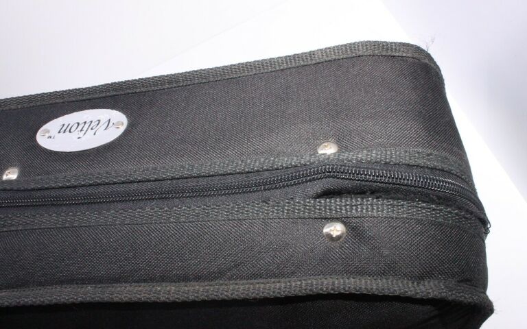 GITARA T.BURTON RAGENT SPECIAL 100 + CASE VELTON