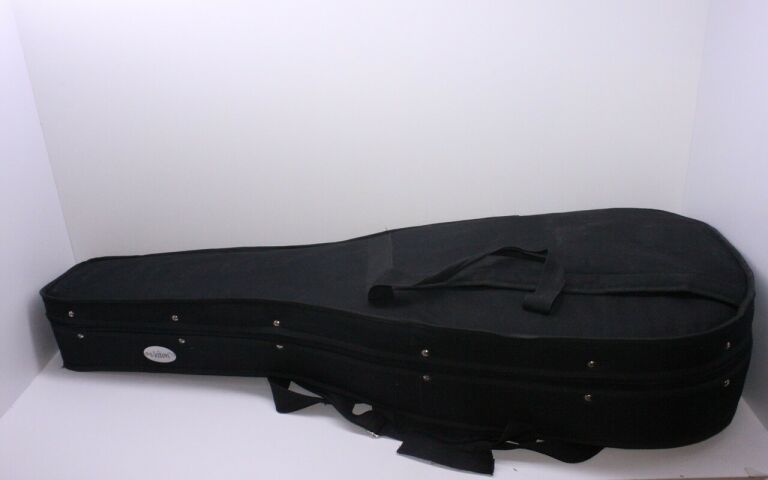 GITARA T.BURTON RAGENT SPECIAL 100 + CASE VELTON