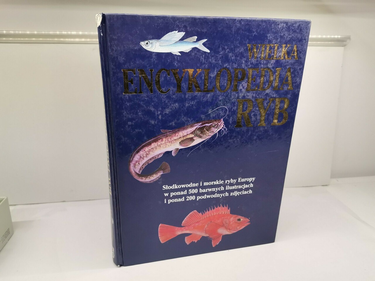 wielka-encyklopedia-ryb-josef-reichholf-steinbach-stan-uzywany