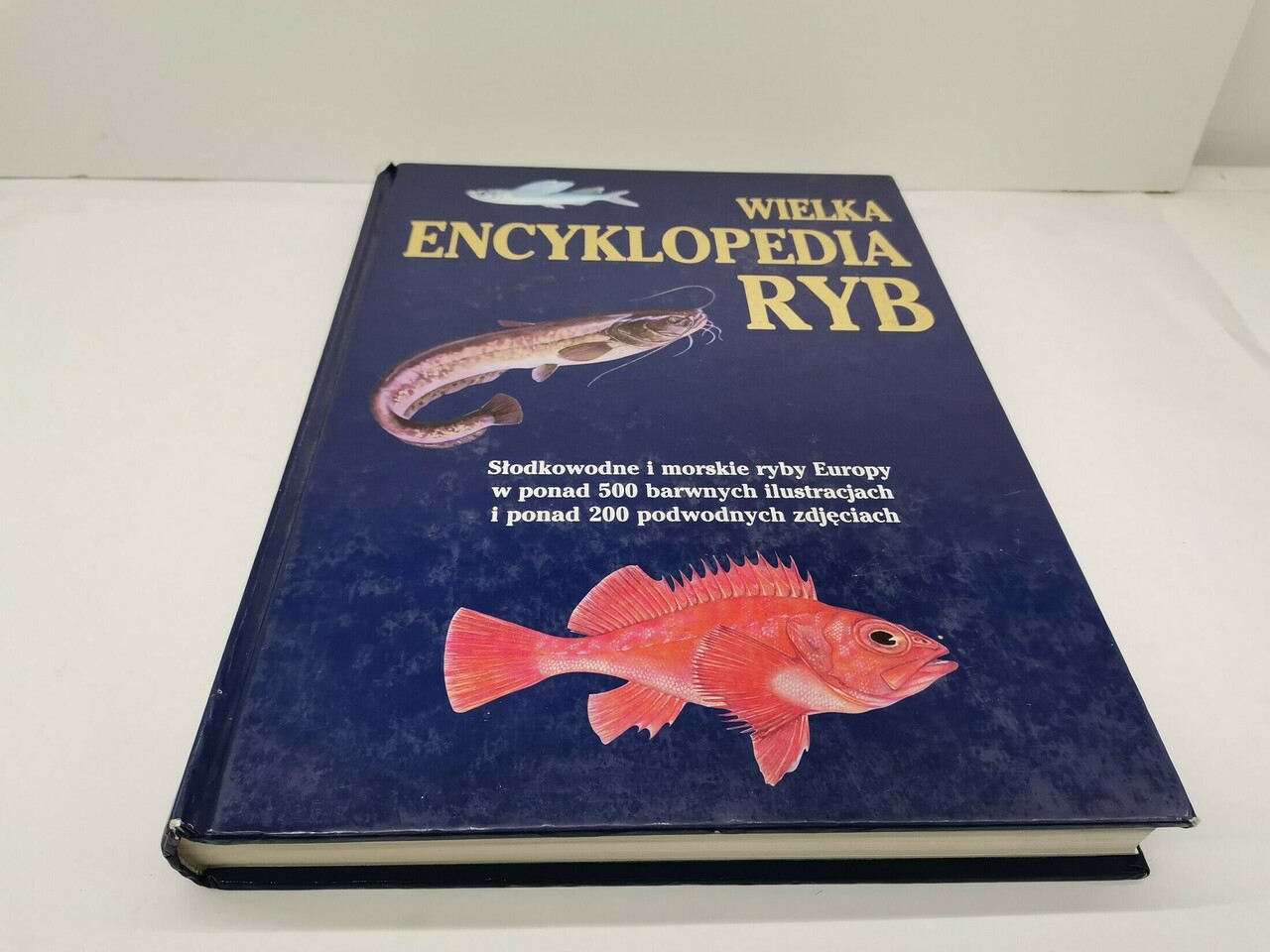 wielka-encyklopedia-ryb-josef-reichholf-steinbach-wroclawska-6-opole-sj