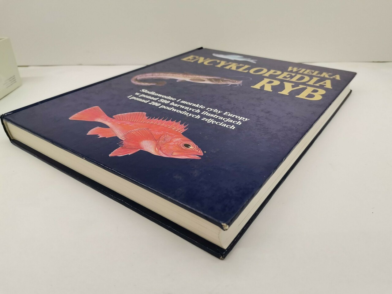 wielka-encyklopedia-ryb-josef-reichholf-steinbach-product-id