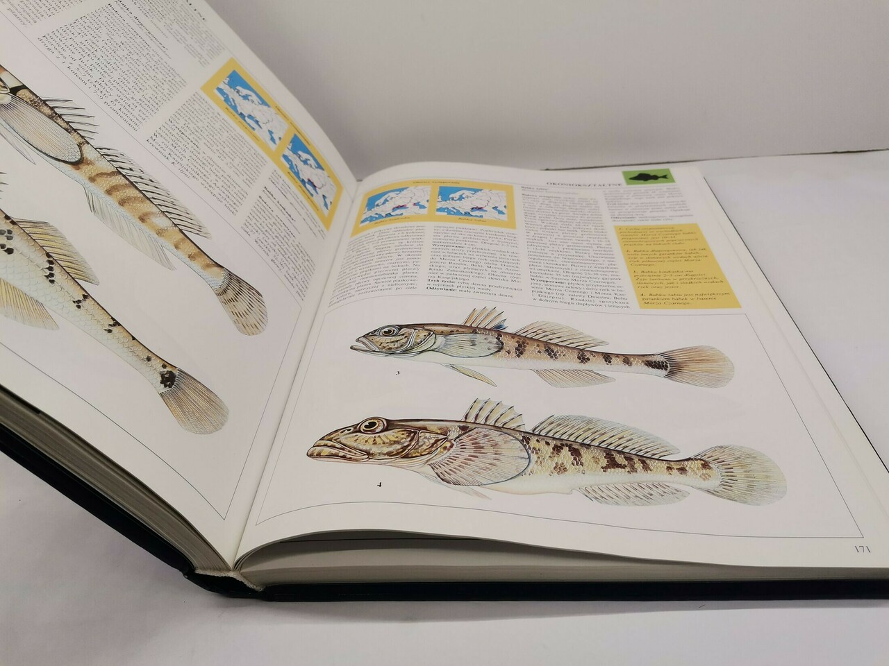 wielka-encyklopedia-ryb-josef-reichholf-steinbach-rodzaj-ksiazki