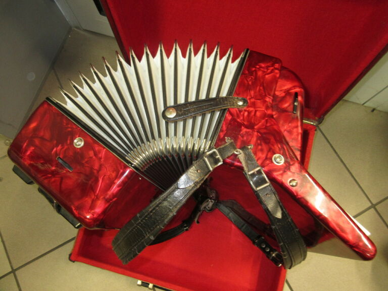 akordeon-firotti-elegance-72-futeral-kod-producenta-elegance