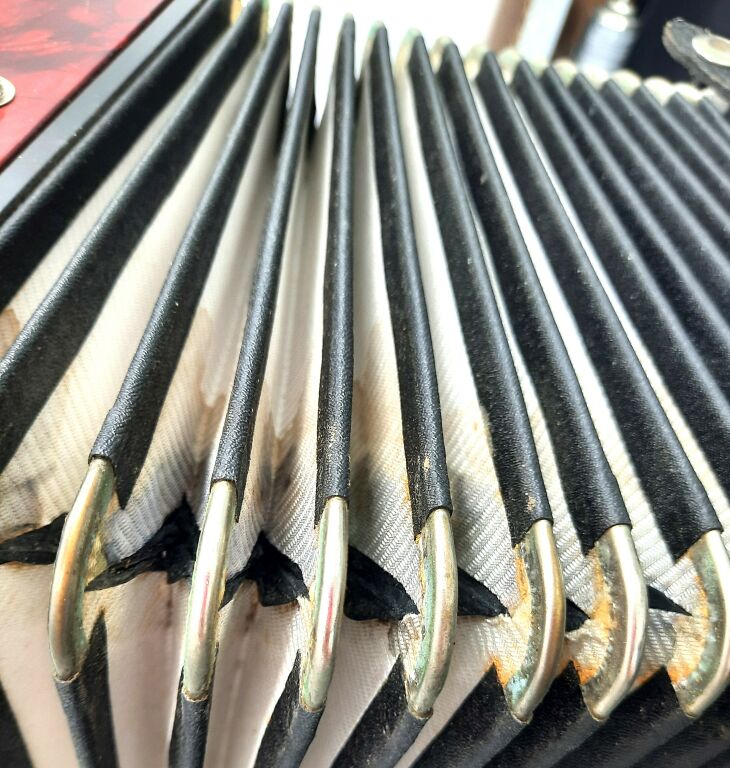 akordeon-delicia-carmen-czerwony-120-basow-rynek-15-olesno-palladium