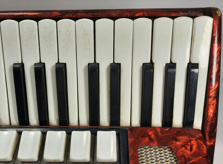 akordeon-delicia-carmen-czerwony-120-basow-kod-producenta-delicia-carmen