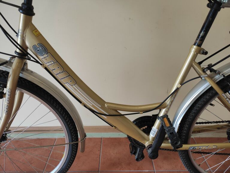 ROWER B TRIP CTB 26