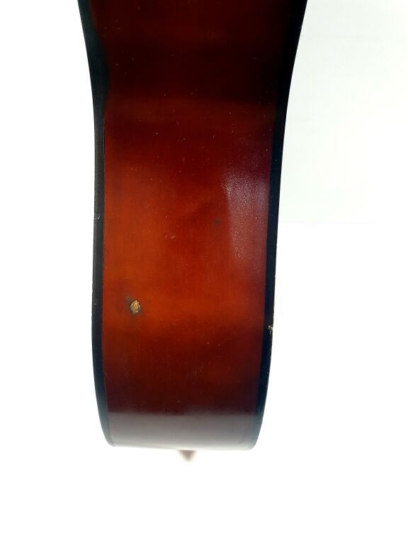 gitara-klasyczna-akustyczna-cgiant-bez-struny-radna-1-wolow-gracja