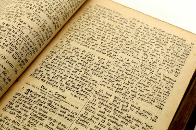 STARA NIEMIECKA BIBLIA MARTIN LUTHER 19 WIEK
