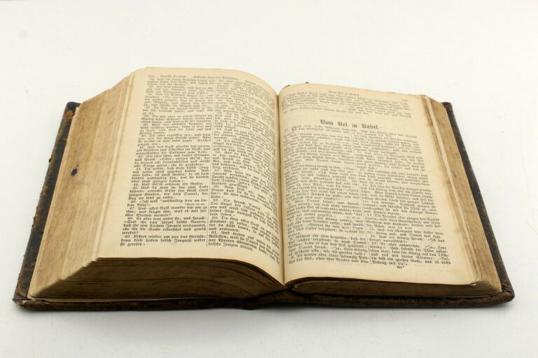 STARA NIEMIECKA BIBLIA MARTIN LUTHER 19 WIEK