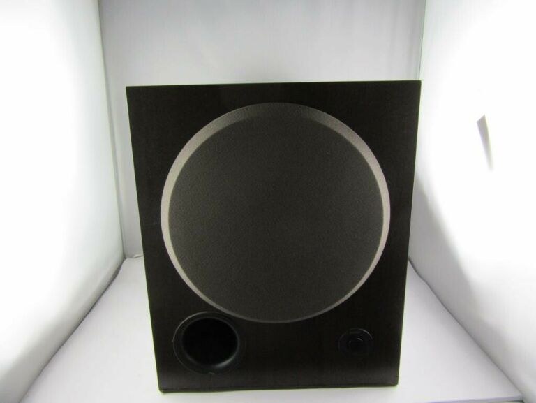 SUBWOOFER SONY SA-WM250