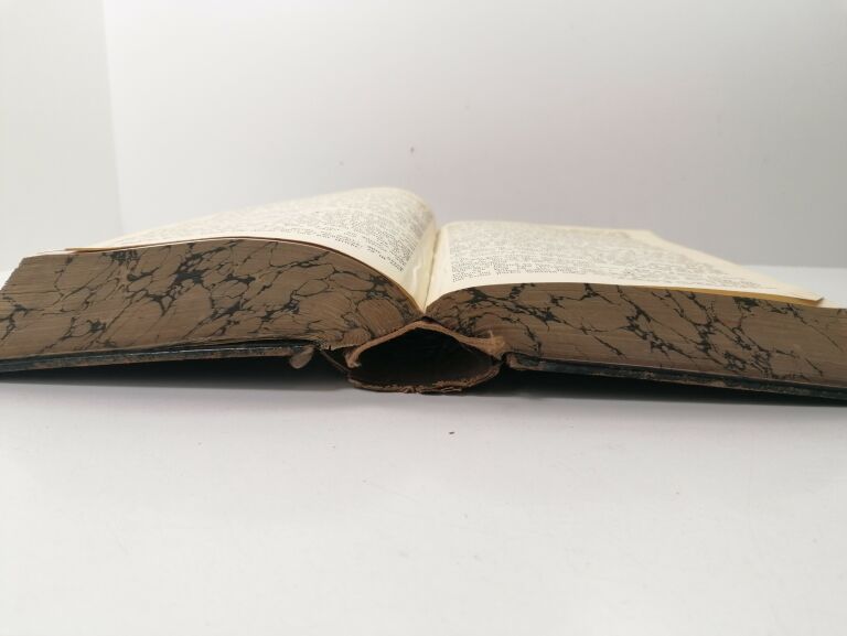 BIBLIA NIEMIECKA ROK KSIĄŻKI 1911