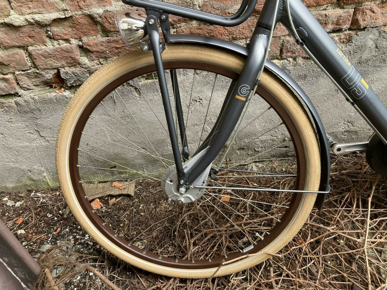 sd