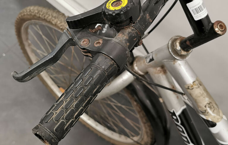 rower-ranger-classic-damski-miejski-plec-kobieta