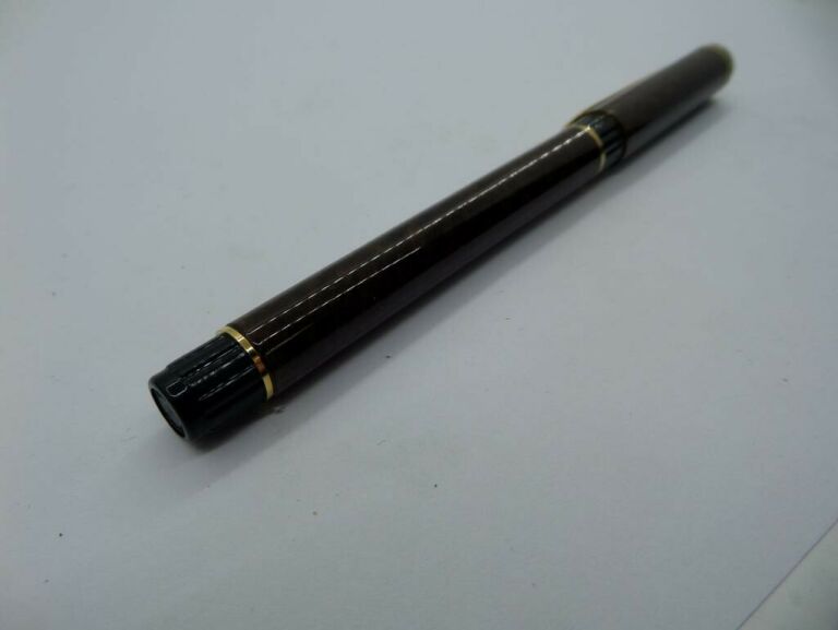 PIÓRO WATERMAN FRANCE F