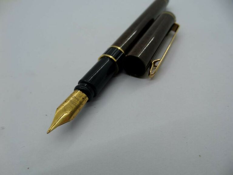 PIÓRO WATERMAN FRANCE F
