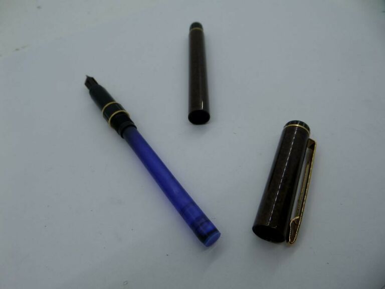PIÓRO WATERMAN FRANCE F