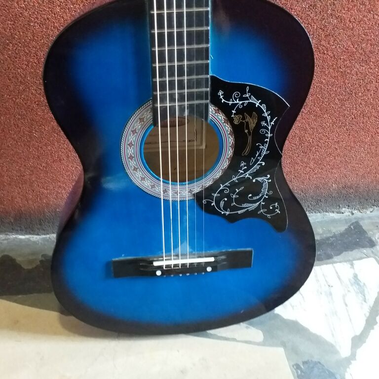 GITARA CRAFTMAN C31