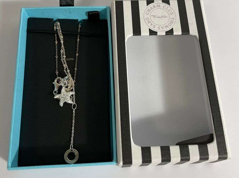 damska-zawieszka-thomas-sabo-charm-club-gwiazda-plac-daszynskiego-5-czestochowa-sj