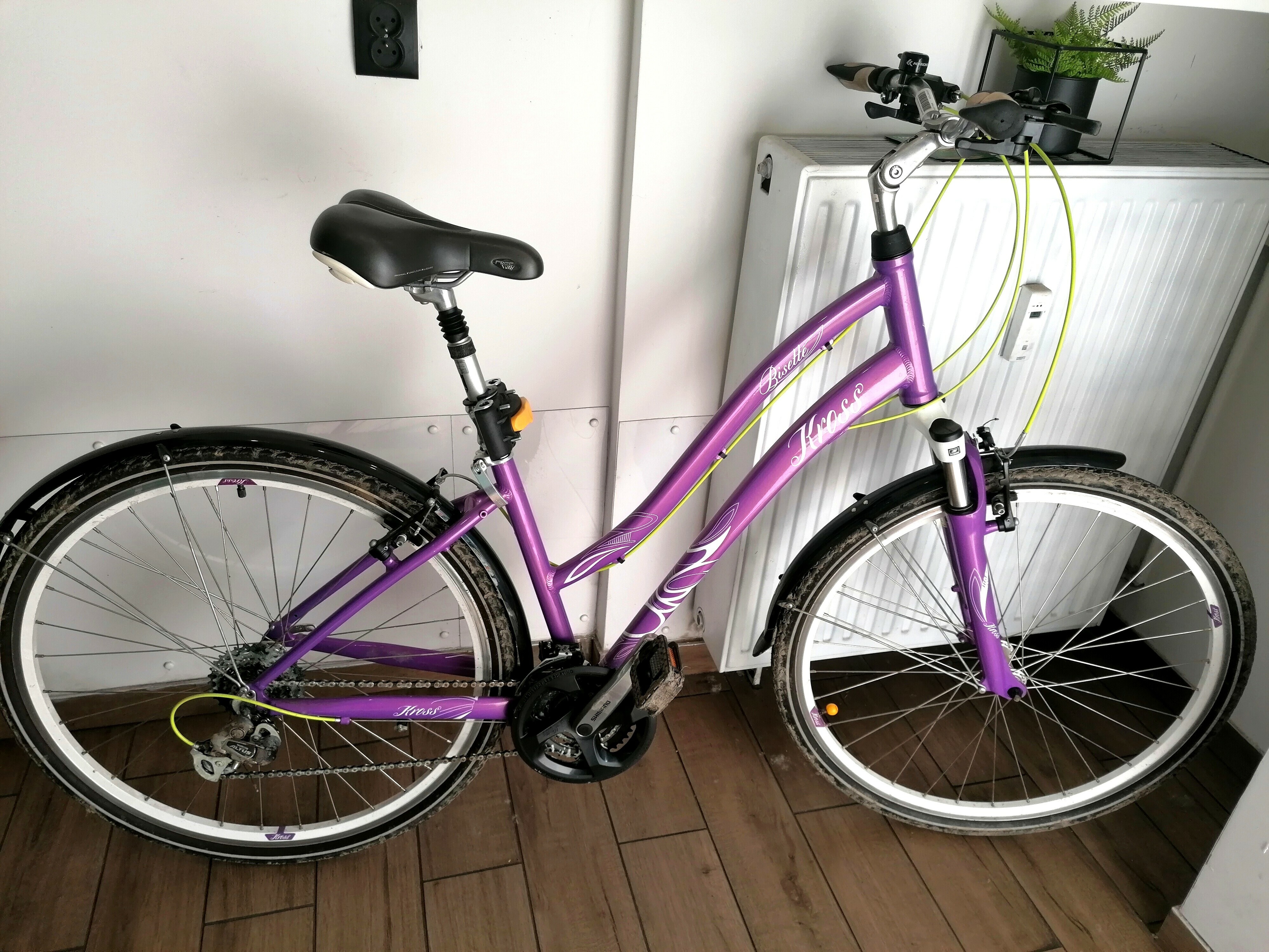 rower-kross-bisette-andrzeja-10-katowice