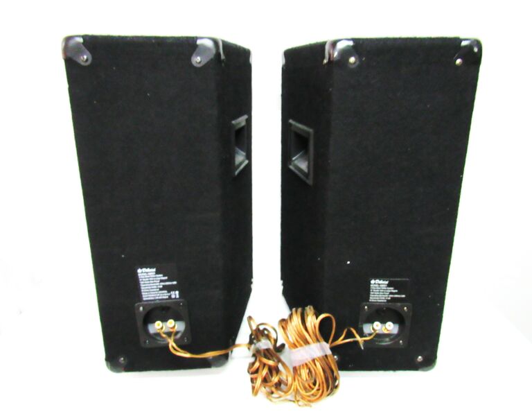 2 KOLUMNY ESTRADOWE Q8001 300W