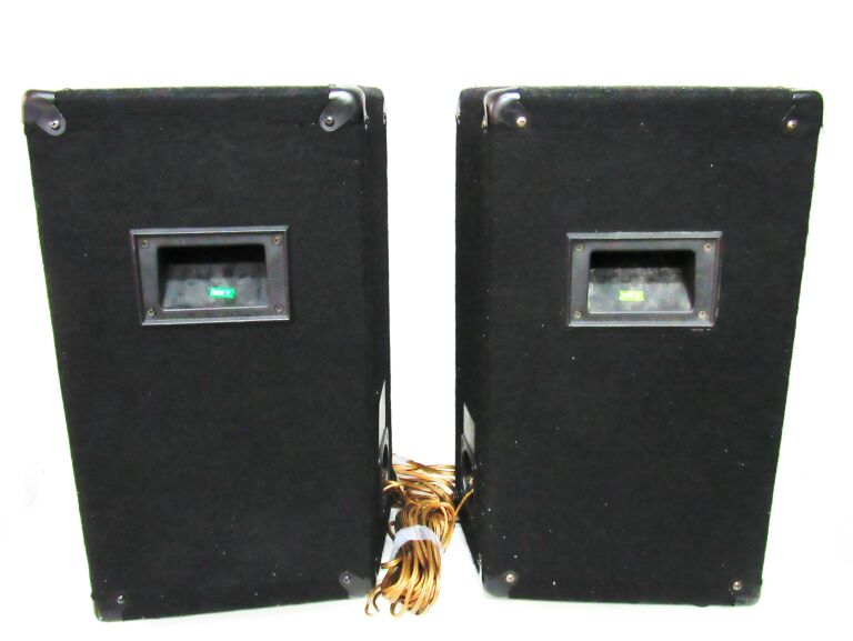 2 KOLUMNY ESTRADOWE Q8001 300W