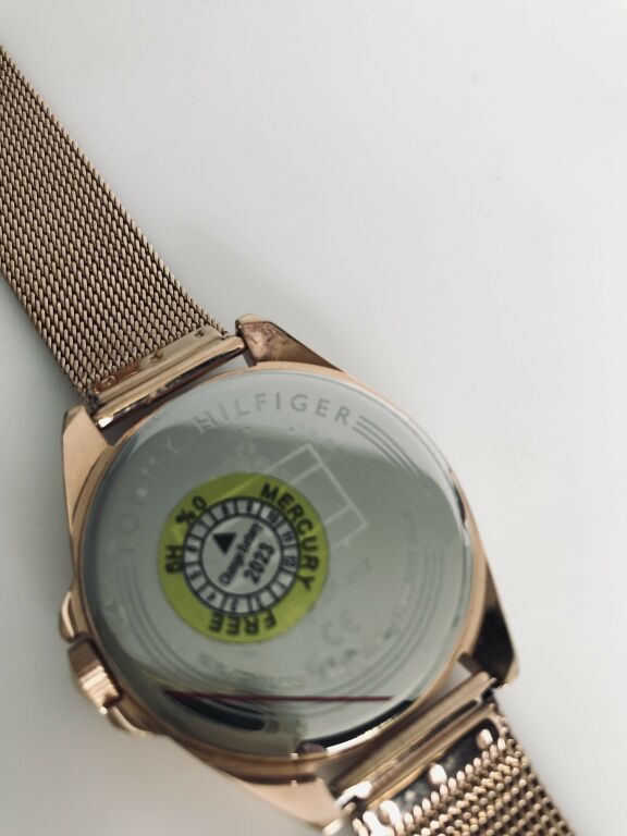 ZEGATEK TOMMY HILFIGER TH. 318.3.34.2167