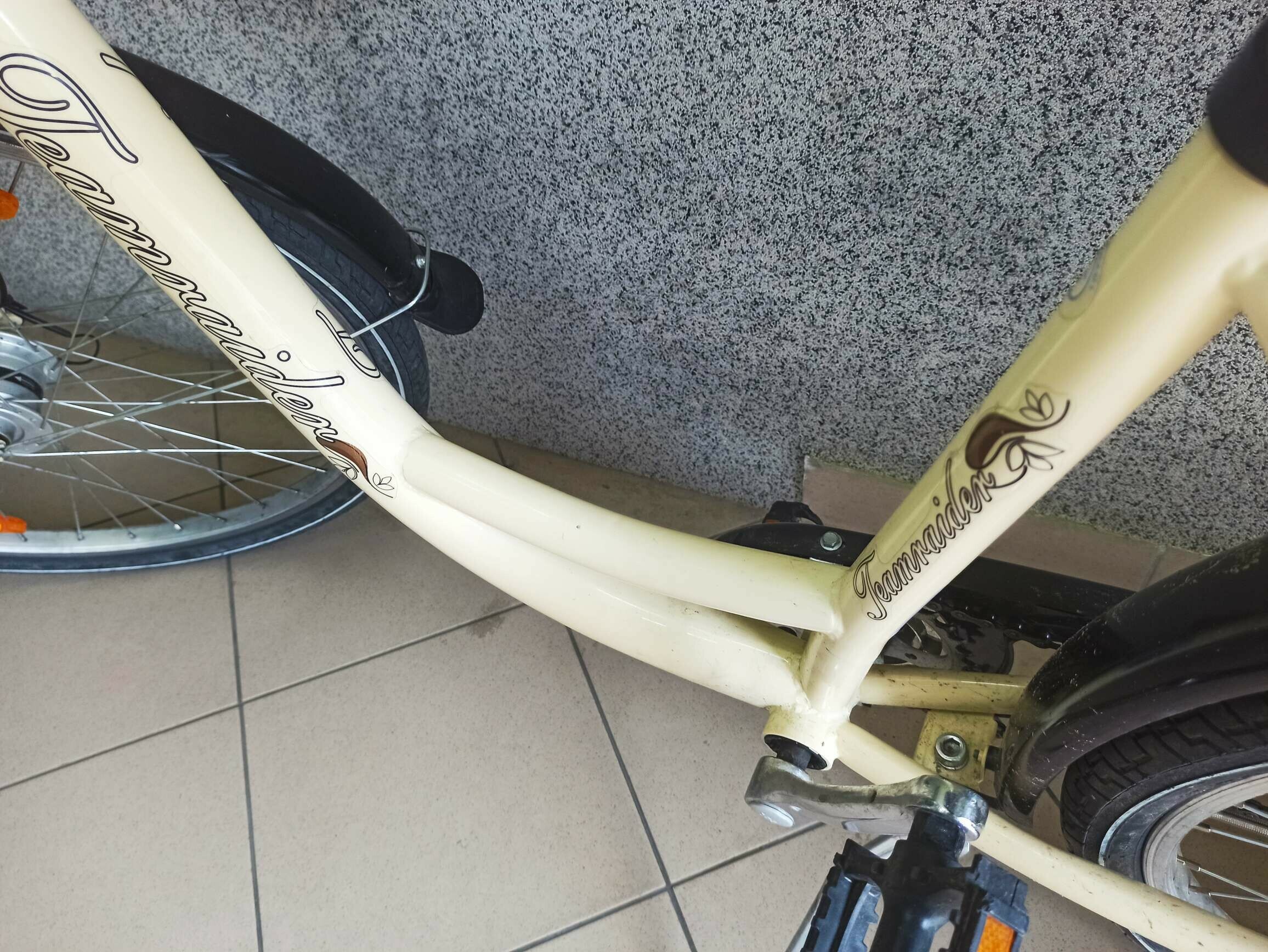 rower-damski-teamraider-r-17-k-26-shimano-nexus-plec-kobieta