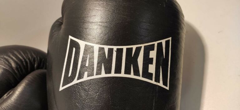 RĘKAWICE BOKSERSKIE DANIKEN 14OZ