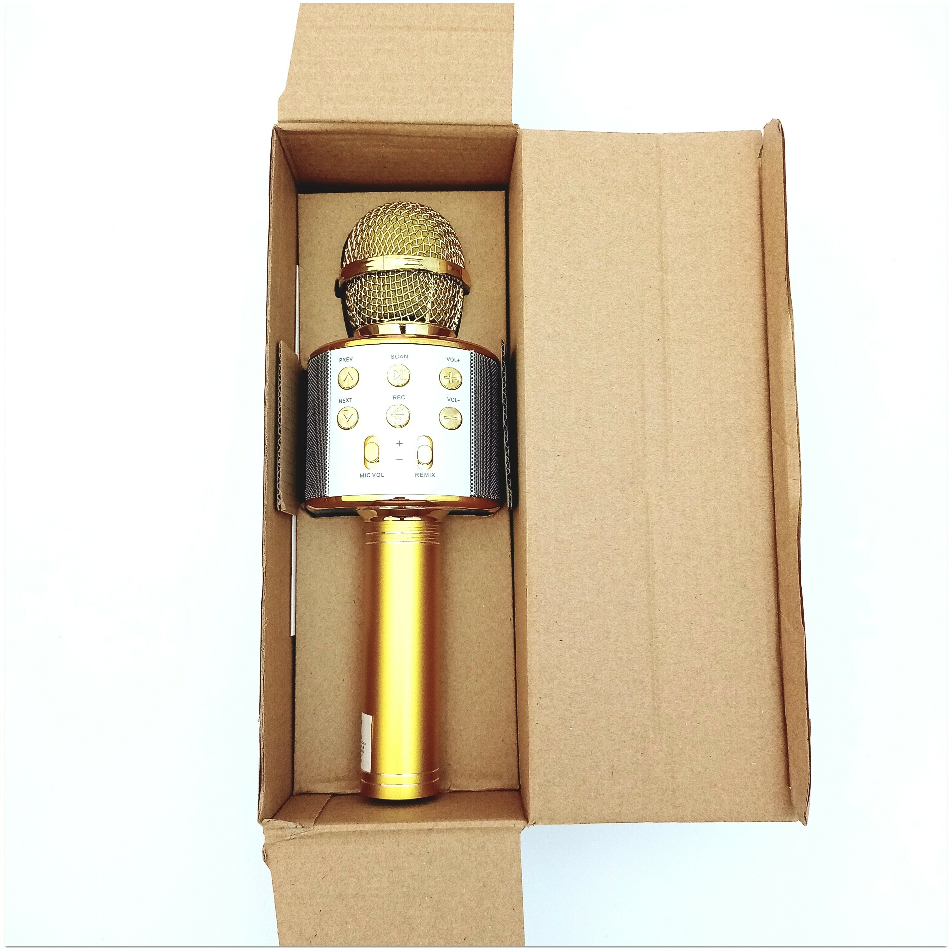 mikrofon-karaoke-kolo-stan-11323-1