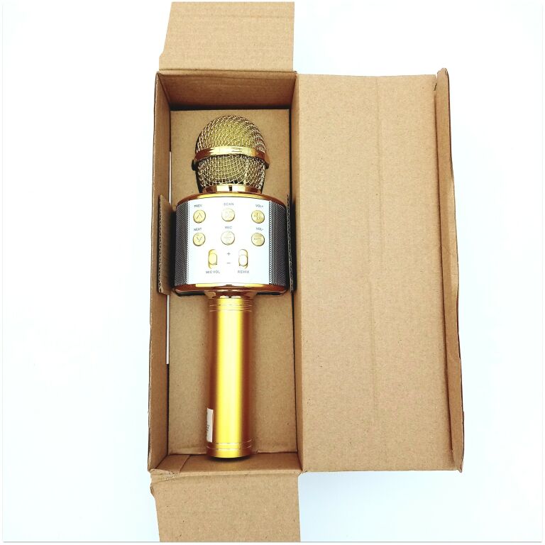 mikrofon-karaoke-kolo-stan-11323-1