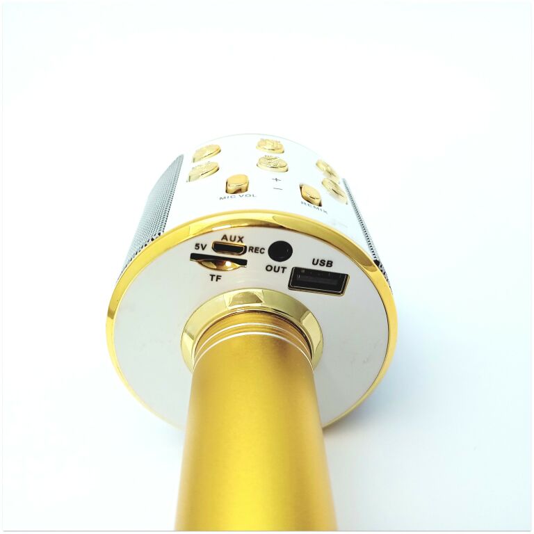 mikrofon-karaoke-kolo-marka-248811-1080341