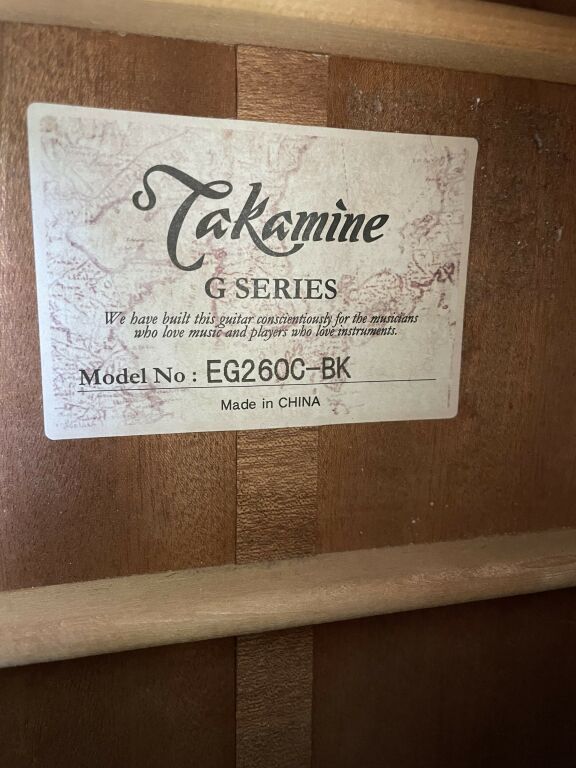 GITARA TAKAMINE G SERIES EG250C