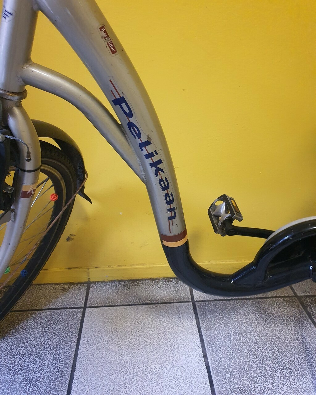 rower-tolin-pelikaan-easy-rider-6-kod-producenta-0000