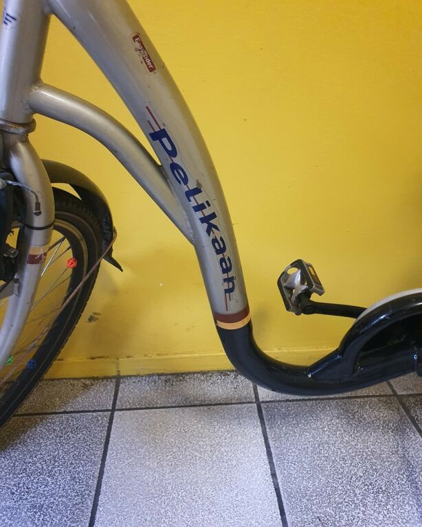 rower-tolin-pelikaan-easy-rider-6-kod-producenta-0000