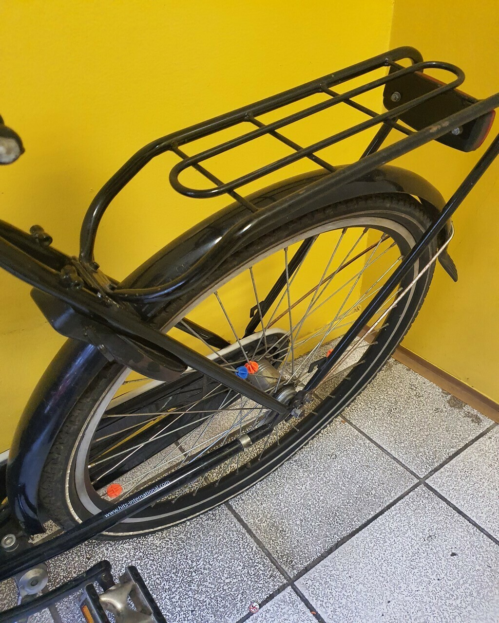 rower-tolin-pelikaan-easy-rider-6-kolor-wielokolorowy