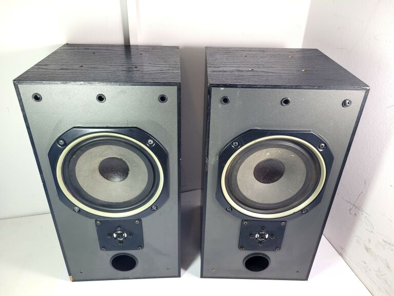 2 KOLUMNY MONITORY MORDAUNT SHORT MS35TI