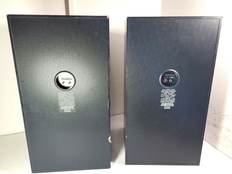 2 KOLUMNY MONITORY MORDAUNT SHORT MS35TI