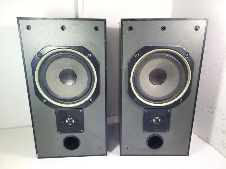 2 KOLUMNY MONITORY MORDAUNT SHORT MS35TI