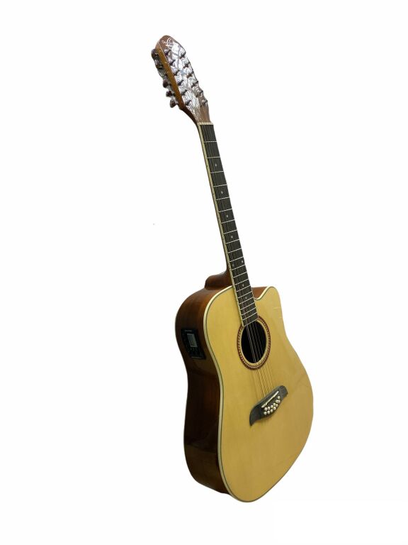 DWUNASTOSTRUNOWA GITARA ELEKTROAKUSTYCZNA+ FUTERA