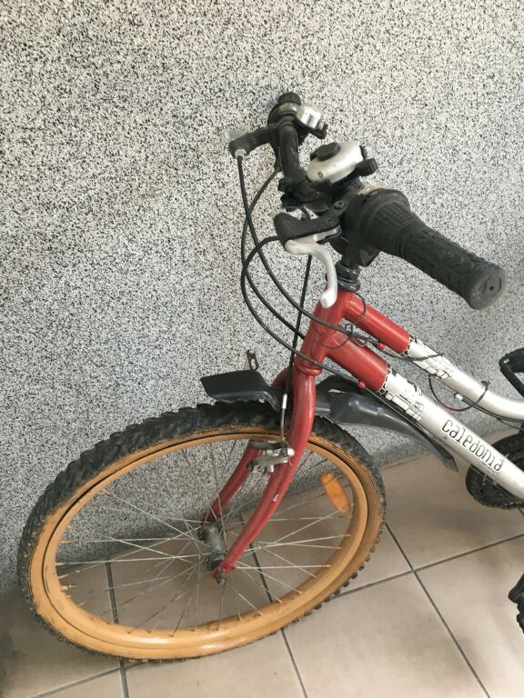 rower-caledonia-sprawdz-rozmiar-kola-16