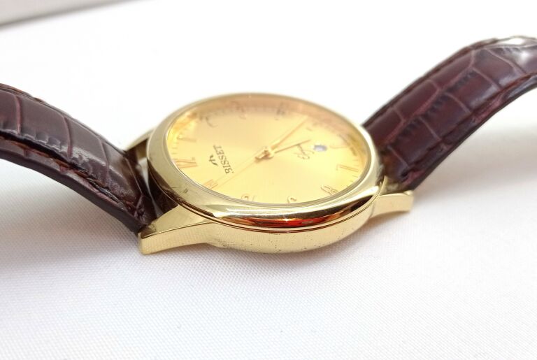 ZEGAREK MĘSKI BISSET ELEGANCE BSCE61